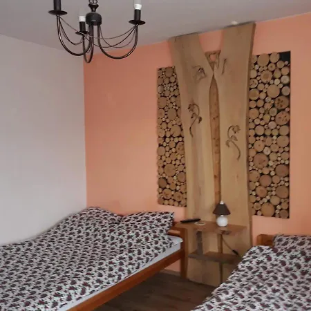 Homestay U Petra Czarna Gora
